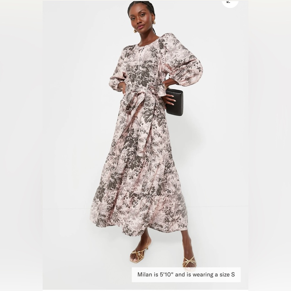Tuckernuck Dress
